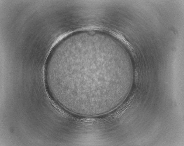 X0000116021412200912041740