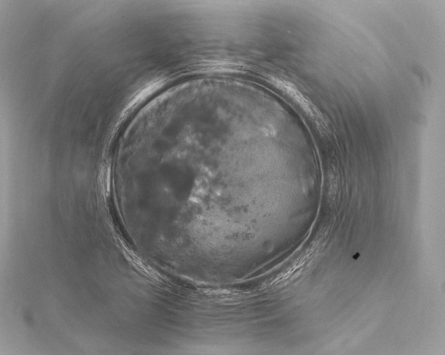 X0000116021413200912041740