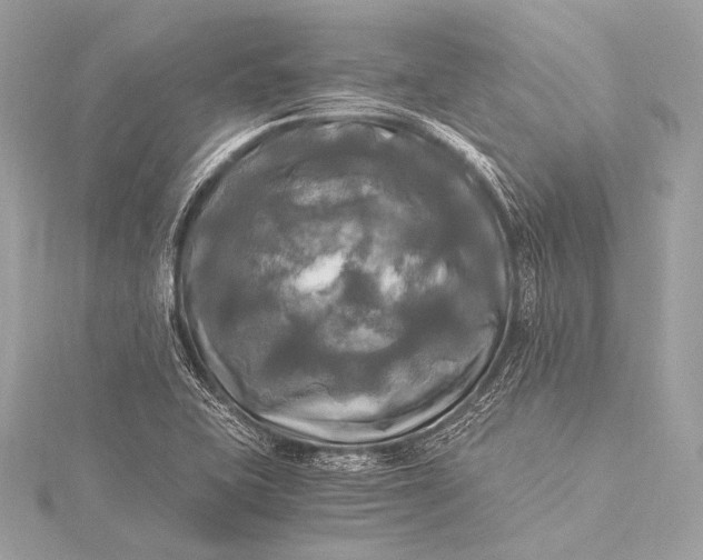 X0000116021415200912041740