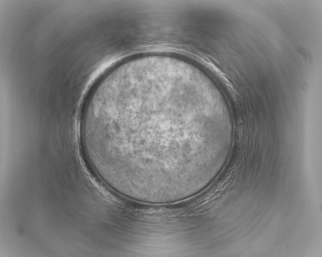 X0000116021416200912041740