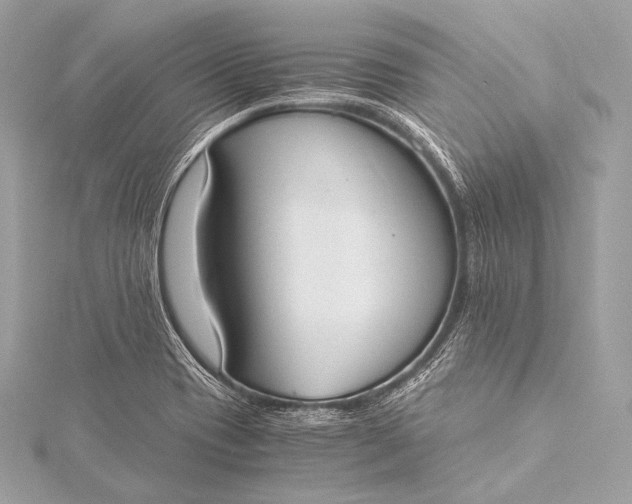 X0000116021417200912041740