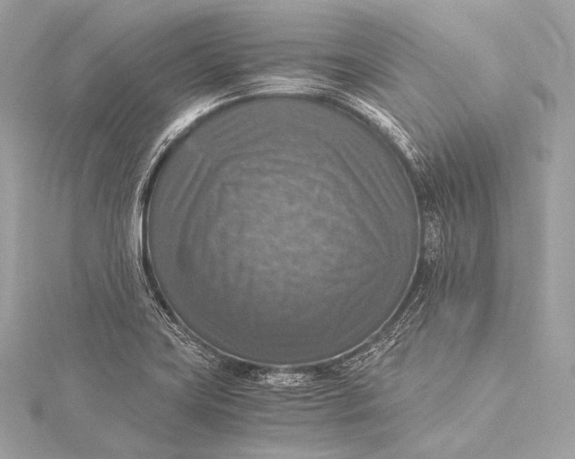 X0000116021419200912041741