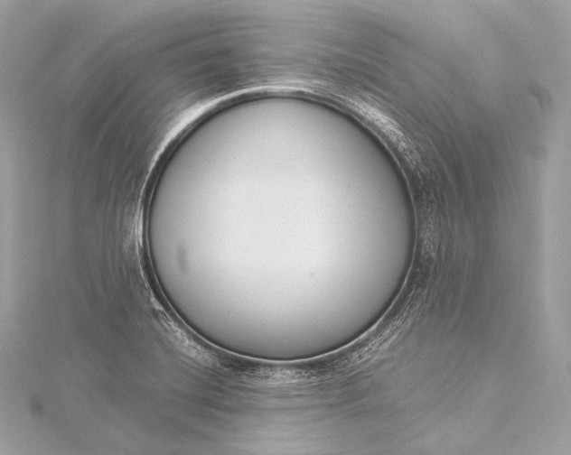 X0000116021420200912041741