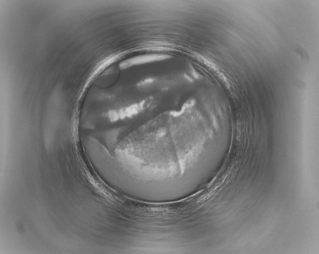 X0000116021421200912041741