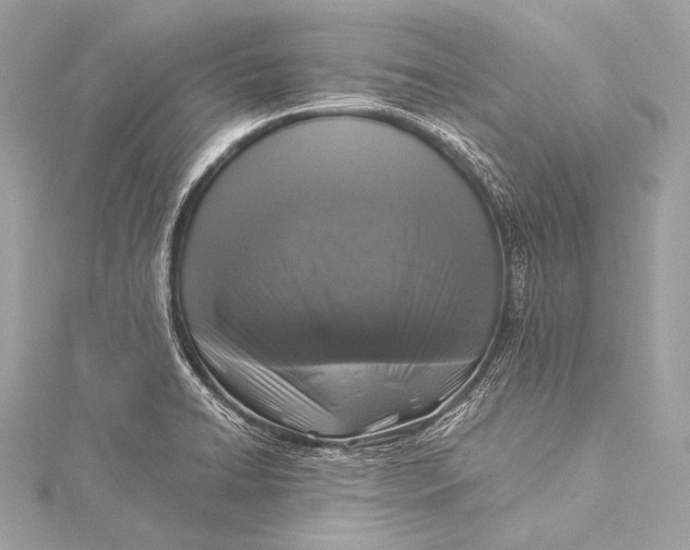 X0000116021422200912041741