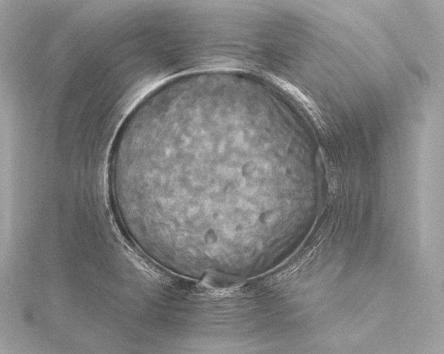 X0000116021423200912041741