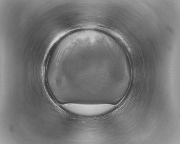 X0000116021424200912041741