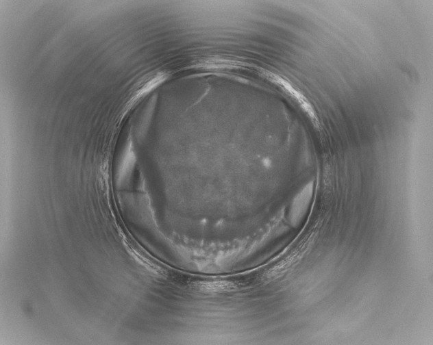 X0000116021425200912041741