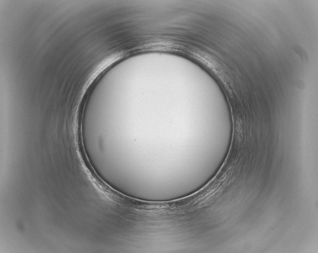 X0000116021426200912041741