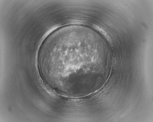 X0000116021427200912041741