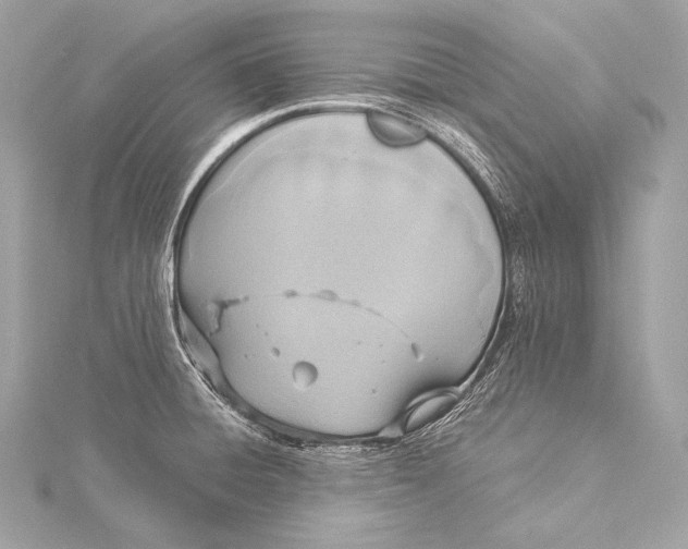 X0000116021428200912041741