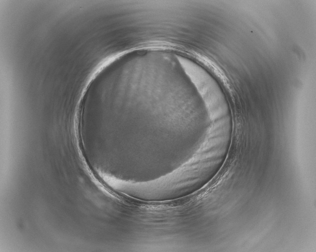 X0000116021429200912041741