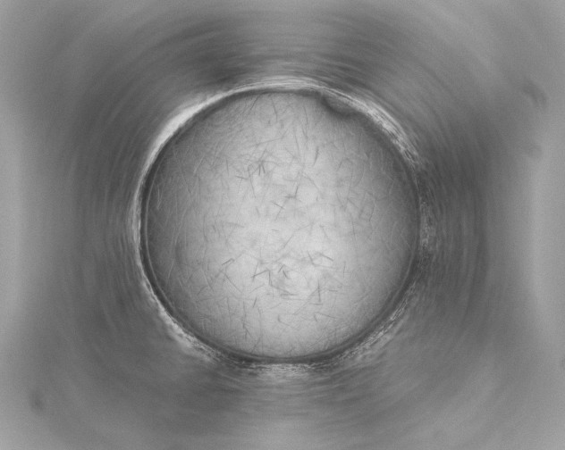 X0000116021430200912041741