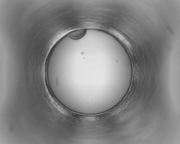 X0000116021431200912041741