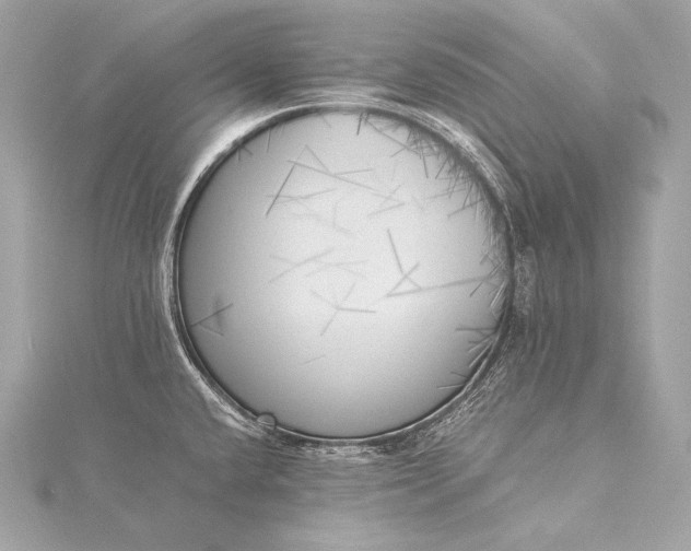 X0000116021432200912041741