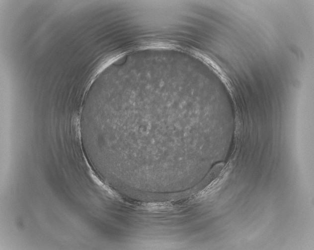 X0000116021433200912041741