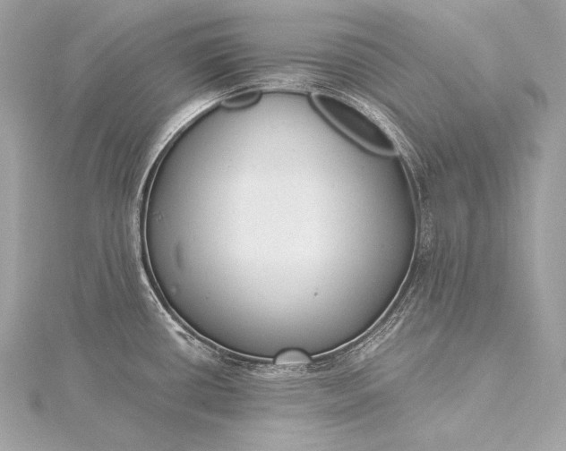 X0000116021434200912041741