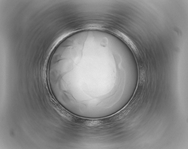 X0000116021435200912041741