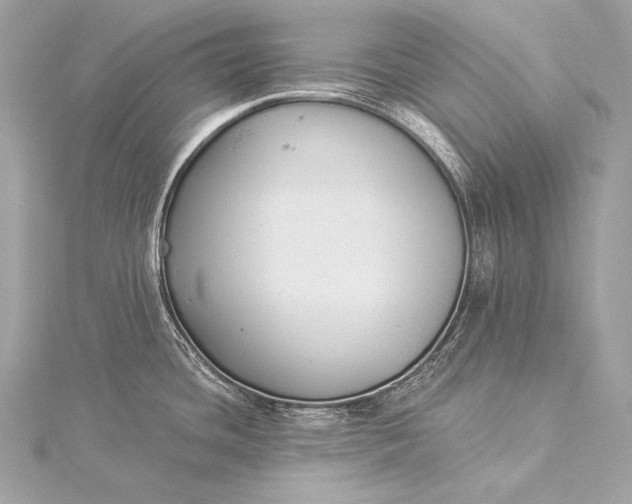 X0000116021436200912041741