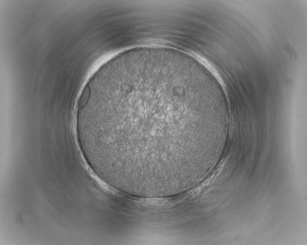 X0000116021437200912041741