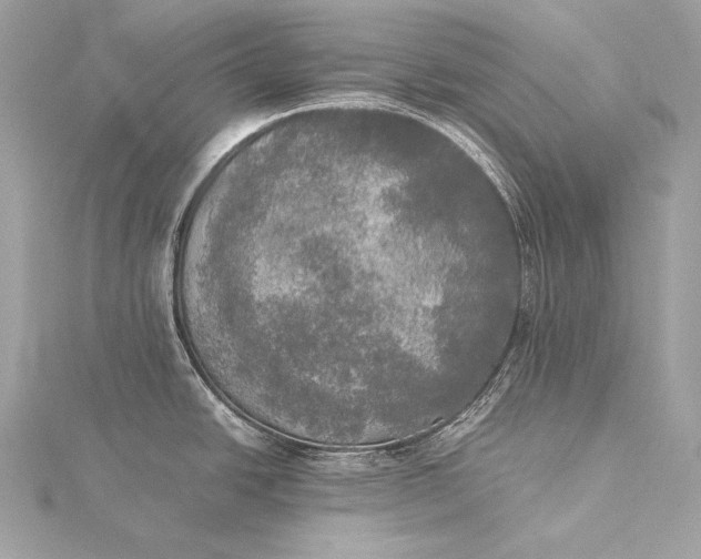 X0000116021438200912041741