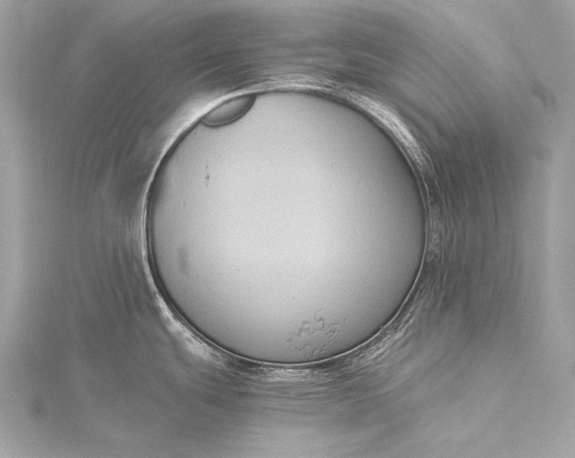 X0000116021439200912041741