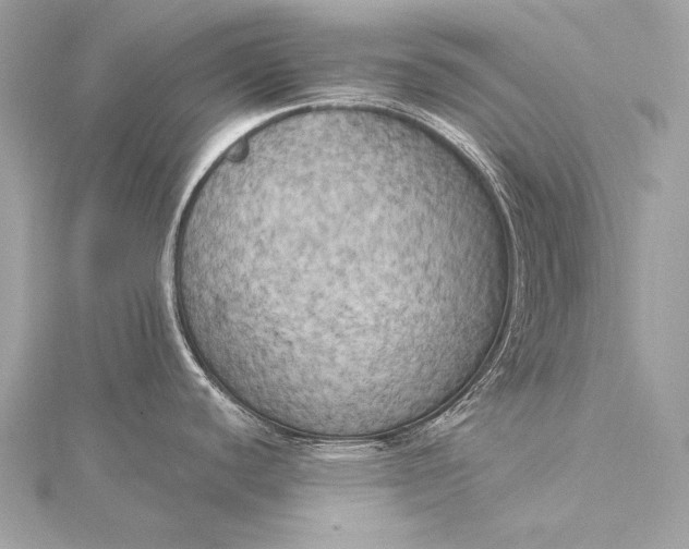 X0000116021440200912041741