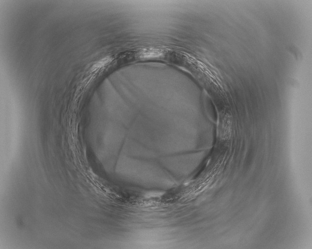 X0000116021441200912041740