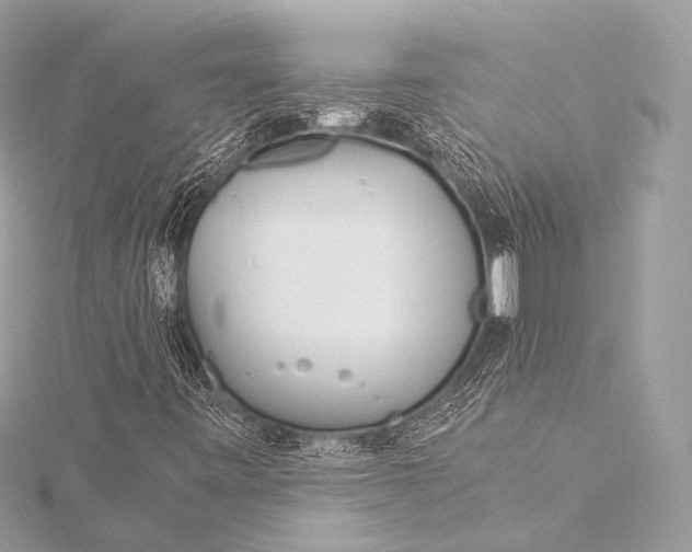 X0000116021443200912041740