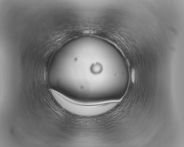 X0000116021444200912041740