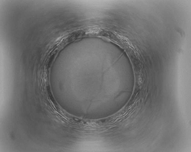 X0000116021445200912041740