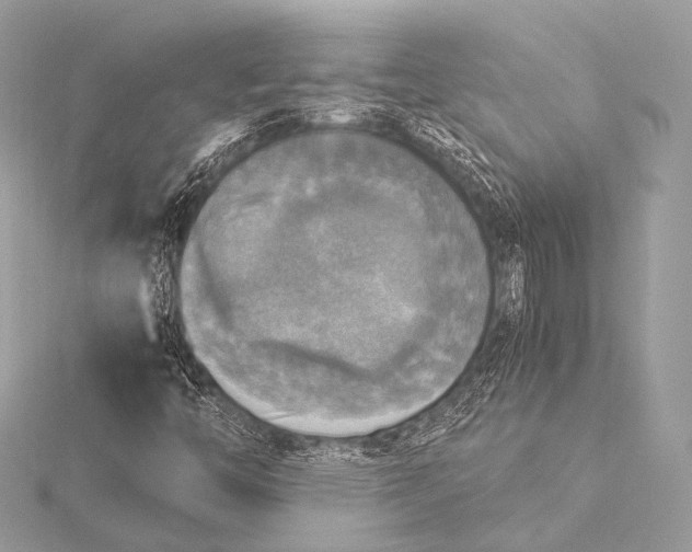 X0000116021446200912041740