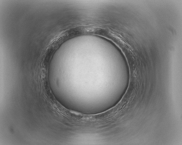 X0000116021447200912041740