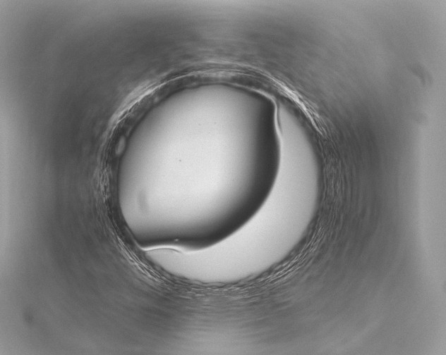 X0000116021448200912041740