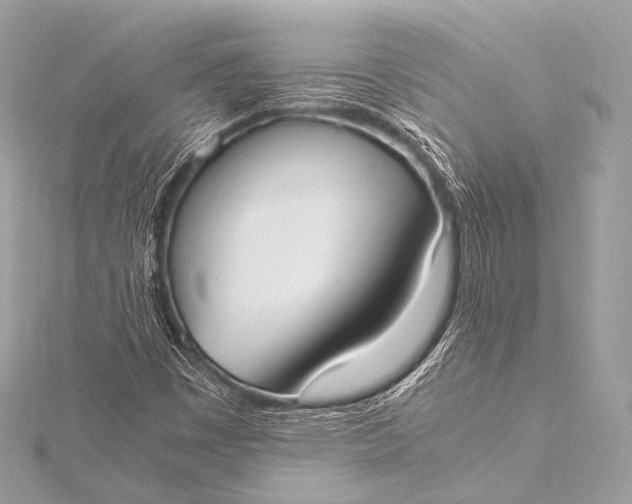 X0000116021449200912041740