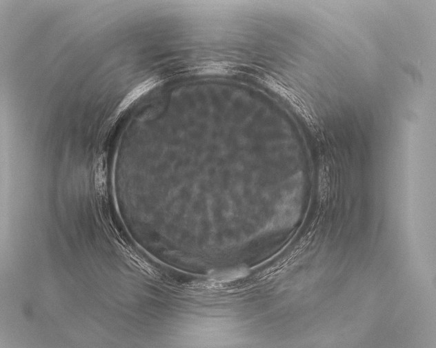 X0000116021450200912041740