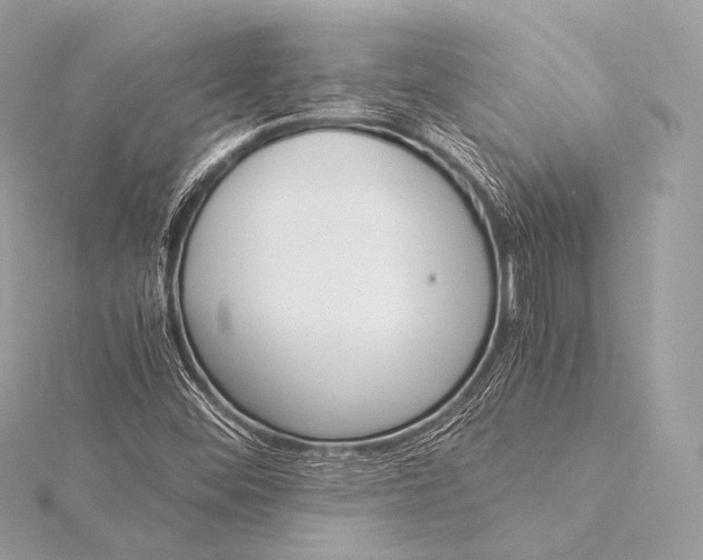 X0000116021452200912041740