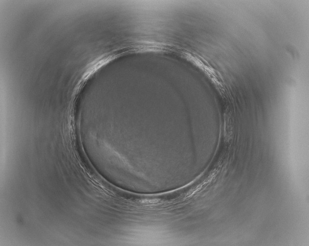 X0000116021453200912041740