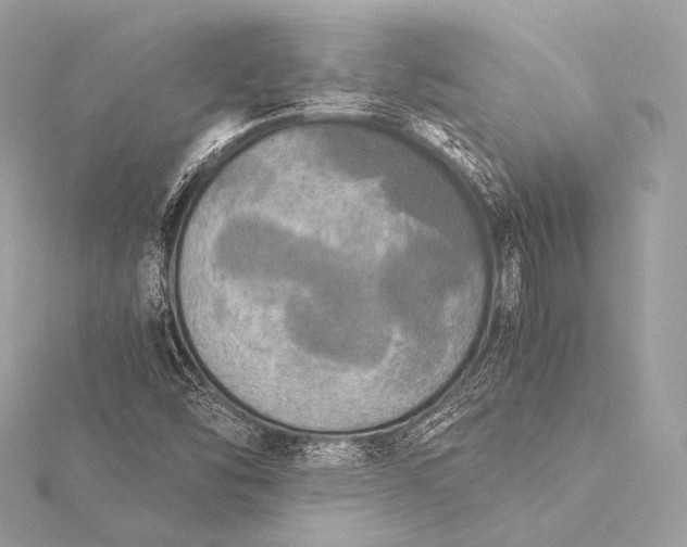 X0000116021454200912041740