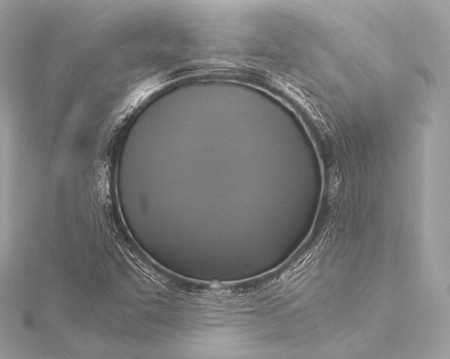 X0000116021455200912041740