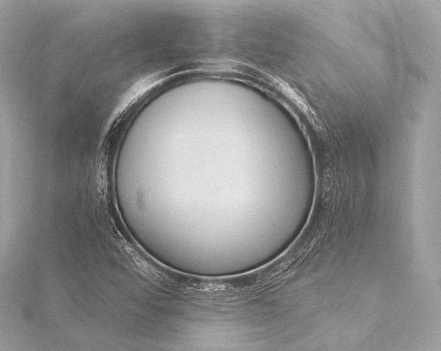 X0000116021456200912041740