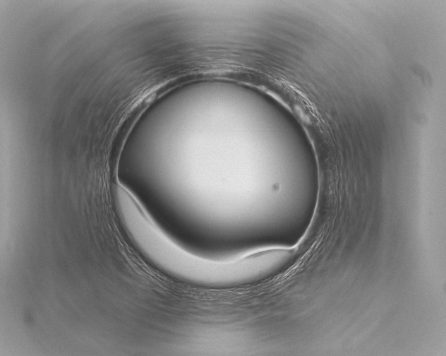 X0000116021457200912041740