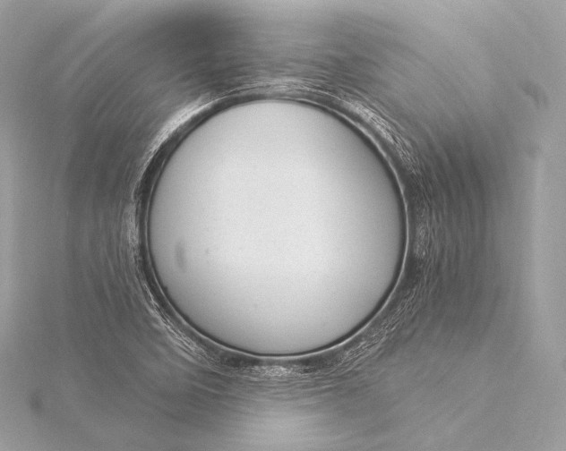 X0000116021458200912041740