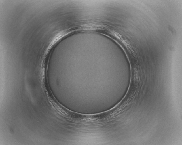 X0000116021459200912041740