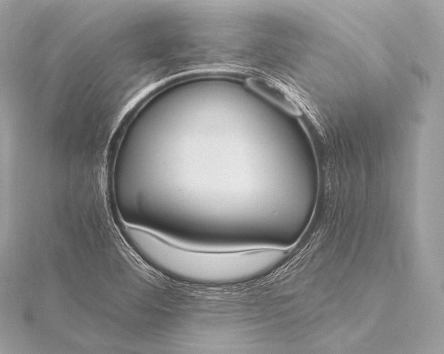 X0000116021460200912041740