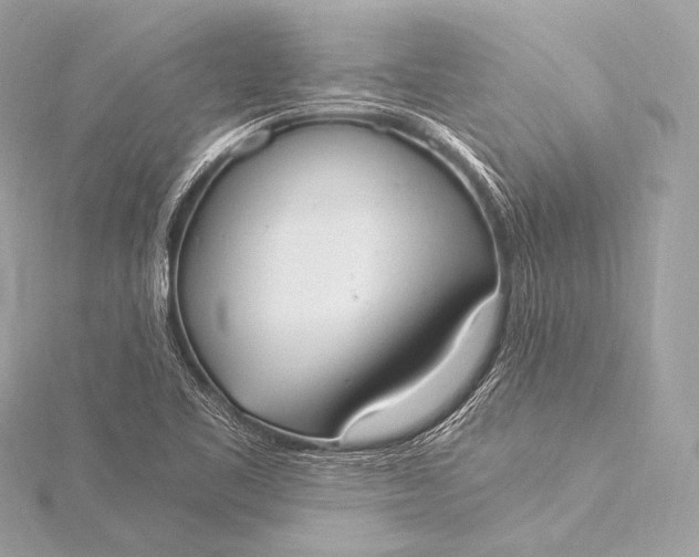 X0000116021461200912041740