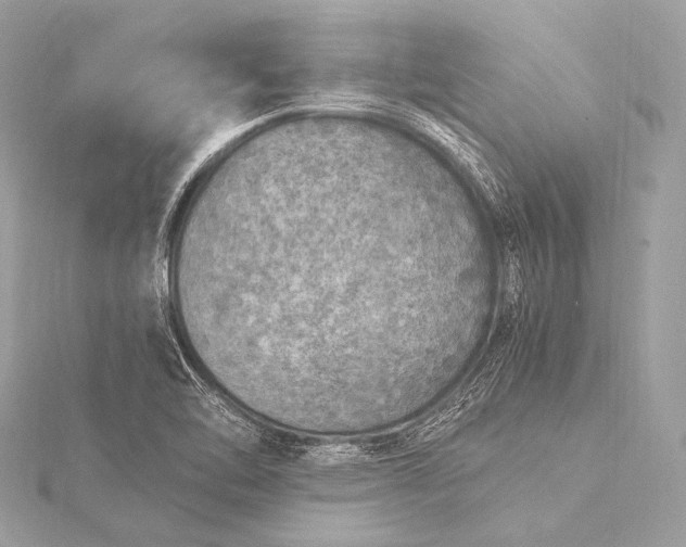 X0000116021462200912041740