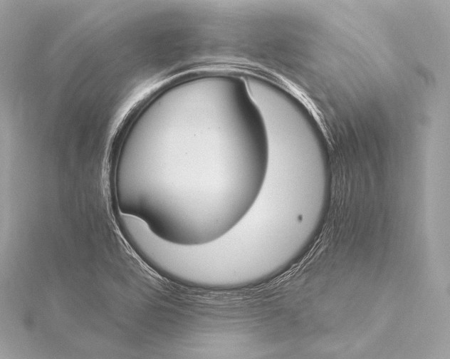 X0000116021464200912041740