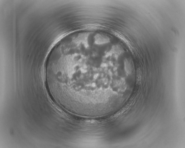 X0000116021467200912041739