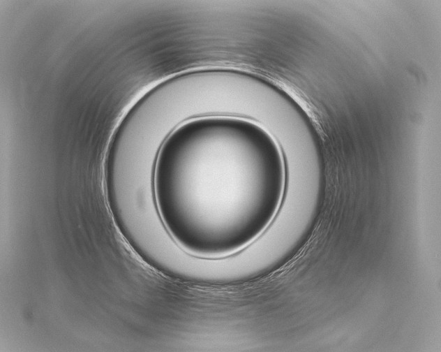 X0000116021468200912041739